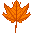 A leaf in Autumn.