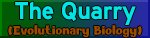 The Quarry